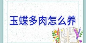 玉蝶多肉怎么养