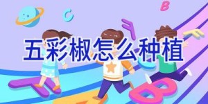 五彩椒怎么种植