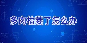 多肉枯萎了怎么办