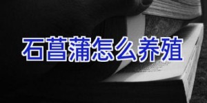 石菖蒲怎么养殖