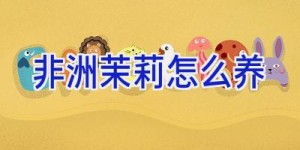 非洲茉莉怎么养