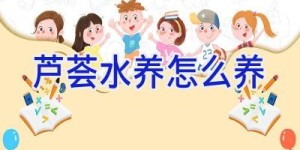 芦荟水养怎么养