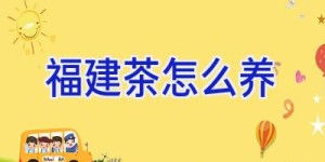 福建茶怎么养