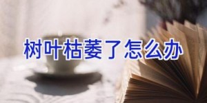 树叶枯萎了怎么办