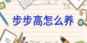 步步高怎么养