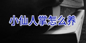 小仙人掌怎么养