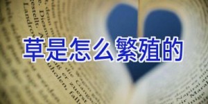 草是怎么繁殖的