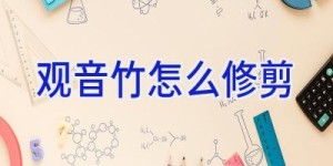 观音竹怎么修剪