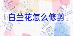 白兰花怎么修剪