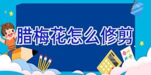 腊梅花怎么修剪