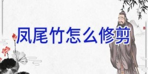 凤尾竹怎么修剪