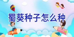 蜀葵种子怎么种