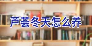 芦荟冬天怎么养