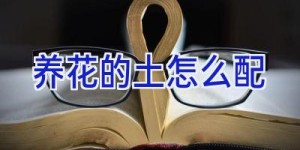 养花的土怎么配