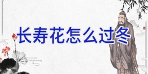 长寿花怎么过冬