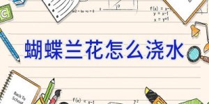 蝴蝶兰花怎么浇水