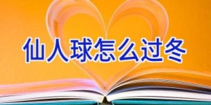 仙人球怎么过冬