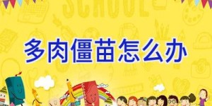 多肉僵苗怎么办