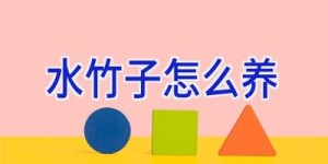 水竹子怎么养