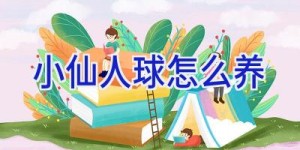 小仙人球怎么养