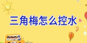 三角梅怎么控水