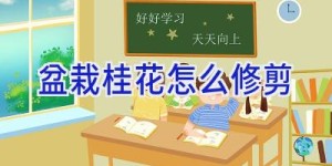 盆栽桂花怎么修剪