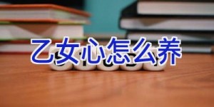 乙女心怎么养