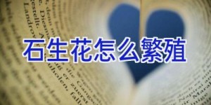 石生花怎么繁殖