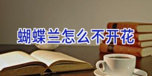 蝴蝶兰怎么不开花