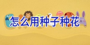 怎么用种子种花