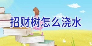 招财树怎么浇水