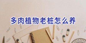 多肉植物老桩怎么养