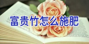 富贵竹怎么施肥