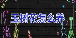 玉树花怎么养