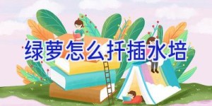 绿萝怎么扦插水培