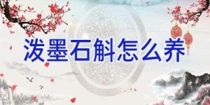 泼墨石斛怎么养