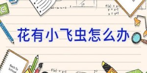 花有小飞虫怎么办