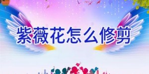 紫薇花怎么修剪