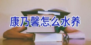 康乃馨怎么水养