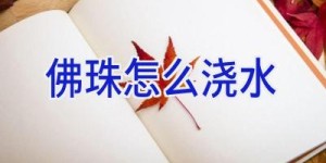 佛珠怎么浇水