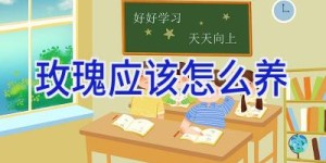 玫瑰应该怎么养