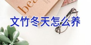 文竹冬天怎么养