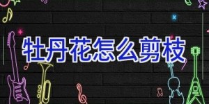 牡丹花怎么剪枝