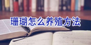 珊瑚怎么养殖方法