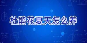 杜鹃花夏天怎么养