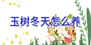 玉树冬天怎么养