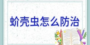 蚧壳虫怎么防治