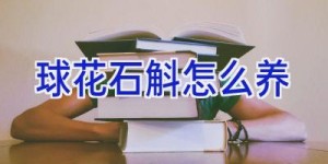 球花石斛怎么养