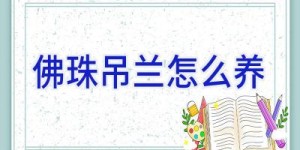 佛珠吊兰怎么养