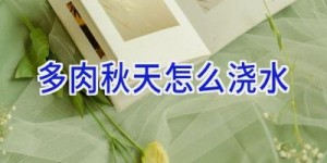 多肉秋天怎么浇水